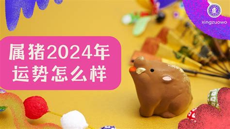 属猪2024年运程